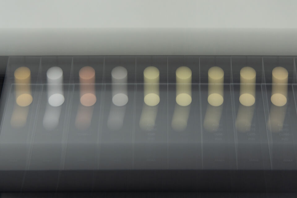 Presentation 2024 picture